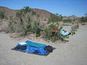 Sleeping at the Baja 1000