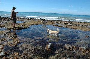 Rocky Point Tidal Pools